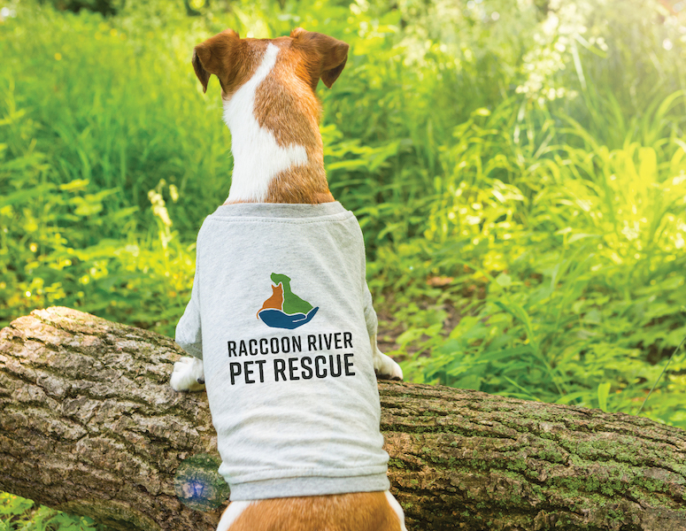 Brown and white dog wearing a gray shirt with the Raccoon River Pet Rescue logo