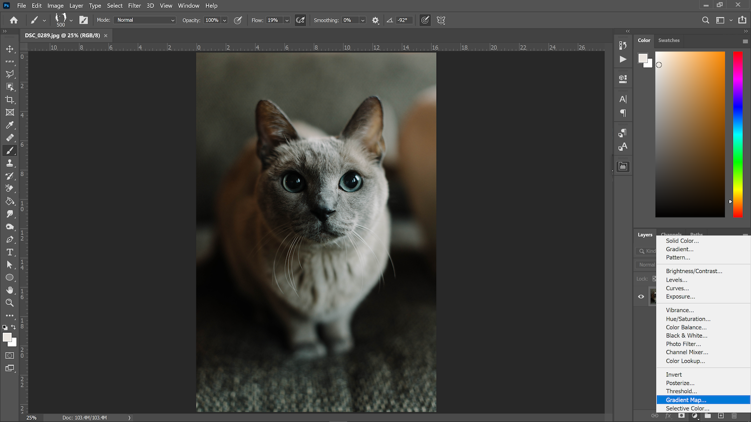 screenshot of photoshop to demonstrate creating a duotone