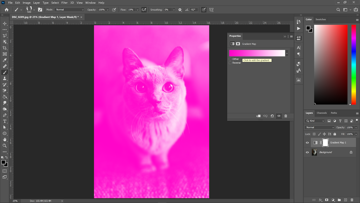 screenshot of photoshop to demonstrate creating a duotone