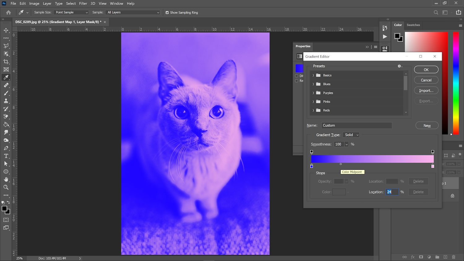 screenshot of photoshop to demonstrate creating a duotone